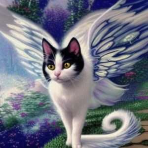 small black and white winged cat